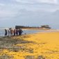 TUMPAH: Minyak mentah kelapa sawit atau crude palm oil (CPO) tumpah dari kapal tongkang di Pulau Gili Iyang Sumenep (SandiGT - Seputar Jatim)