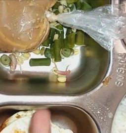 Menu MBG SPPG Batu Putih Dikeluhkan, Siswa Temukan Ulat di Sajian Sayur