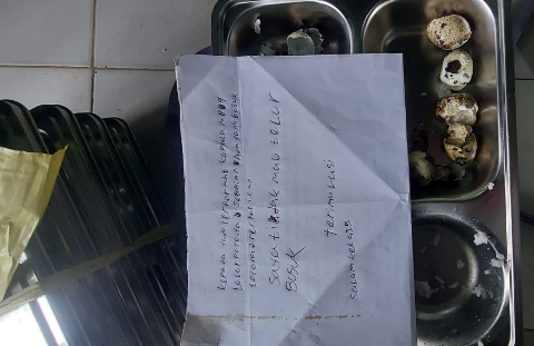 foto slider headline