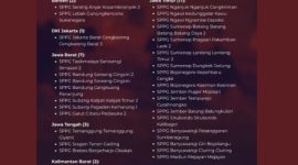 DAFTAR: Infografis data dapur SPPG yang disuspend BGN (Doc. Seputar Jatim)