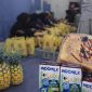 PENGEMASAN: Paket MBG kering yang akan dibagikan SPPG Lebeng Timur berisi roti, buah nanas dan susu indomilk coklat (Doc. Seputar Jatim)