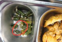 SAYUR: Menu MBG berulat pada kacang panjang yang didistribusikan oleh SPPG Pakamban Laok 2 (Doc. Seputar Jatim)