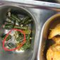 SAYUR: Menu MBG berulat pada kacang panjang yang didistribusikan oleh SPPG Pakamban Laok 2 (Doc. Seputar Jatim)