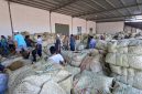 BERKUMPUL: Petani sedang menjual tembakau di salah satu gudang perusahaan rokok lokal di Sumenep (Doc. Seputar Jatim)
