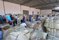 BERKUMPUL: Petani sedang menjual tembakau di salah satu gudang perusahaan rokok lokal di Sumenep (Doc. Seputar Jatim)