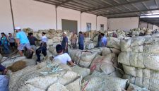 BERKUMPUL: Petani sedang menjual tembakau di salah satu gudang perusahaan rokok lokal di Sumenep (Doc. Seputar Jatim)