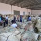 BERKUMPUL: Petani sedang menjual tembakau di salah satu gudang perusahaan rokok lokal di Sumenep (Doc. Seputar Jatim)