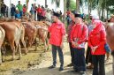 BERSERAGAM: Ketua DPC PDI Perjuangan Kabupaten Sumenep, Achmad Fauzi Wongsojudo (kiri) didampingi sekretaris dan bendahara saat penyaluran hewan kurban di halaman Masjid Fathimah Binti Said Ghauzan, Kecamatan Manding (Doc. Seputar Jatim)