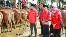 BERSERAGAM: Ketua DPC PDI Perjuangan Kabupaten Sumenep, Achmad Fauzi Wongsojudo (kiri) didampingi sekretaris dan bendahara saat penyaluran hewan kurban di halaman Masjid Fathimah Binti Said Ghauzan, Kecamatan Manding (Doc. Seputar Jatim)