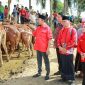 BERSERAGAM: Ketua DPC PDI Perjuangan Kabupaten Sumenep, Achmad Fauzi Wongsojudo (kiri) didampingi sekretaris dan bendahara saat penyaluran hewan kurban di halaman Masjid Fathimah Binti Said Ghauzan, Kecamatan Manding (Doc. Seputar Jatim)