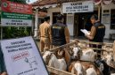 ILUSTRASI: Tim auditor Inspektorat melakukan pemeriksaan terkait dugaan penyimpangan pengadaan kambing yang bersumber dari Dana Desa (DD) di Desa Meddelan, Kecamatan Lenteng, Kabupaten Sumenep (Doc. Seputar Jatim)
