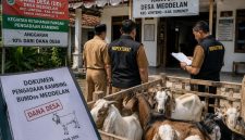 ILUSTRASI: Tim auditor Inspektorat melakukan pemeriksaan terkait dugaan penyimpangan pengadaan kambing yang bersumber dari Dana Desa (DD) di Desa Meddelan, Kecamatan Lenteng, Kabupaten Sumenep (Doc. Seputar Jatim)