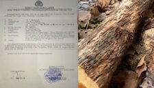 GRID: Bukti laporan terkait pohon jati aset Pemerintah Desa Nonggunong, yang diduga ditebang tanpa izin (Doc. Seputar Jatim)
