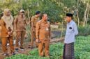 BERINTERAKSI: Kepala DKPP Kabupaten Sumenep, Chainur Rasyid, saat turun langsung meninjau lokasi persemaian bibit Prancak 95 (Doc. Seputar Jatim)
