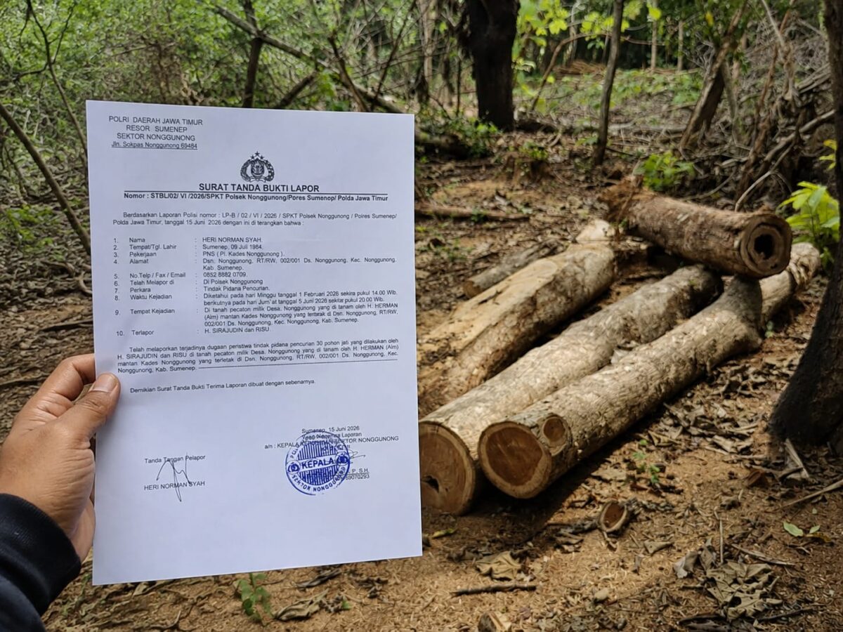 ILUSTRASI:
Sejumlah batang kayu jati yang telah ditebang ditemukan di kawasan hutan Desa Nonggunong, Kecamatan Nonggunong, Sumenep (Dok. Seputar Jatim)