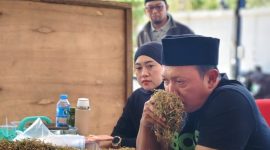 MENCIUM: Owner Haswal Group, Gufron, saat memeriksa kualitas tembakau hasil panen petani dalam pembelian perdana di gudang utama Haswal Group, Takong, Kecamatan Lenteng, Sumenep (Dok. Seputar Jatim)