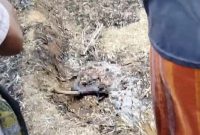 HANGUS: Tangkapan layar video yang memperlihatkan seorang pria dalam kondisi tubuh terbakar (SC: Video WhatsApp)