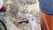 HANGUS: Tangkapan layar video yang memperlihatkan seorang pria dalam kondisi tubuh terbakar (SC: Video WhatsApp)