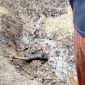 HANGUS: Tangkapan layar video yang memperlihatkan seorang pria dalam kondisi tubuh terbakar (SC: Video WhatsApp)