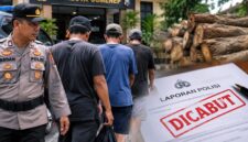 ILUSTRASI : Tiga tersangka kasus dugaan pencurian kayu di Nonggunong, Sumenep, yang telah dipulangkan setelah perkara tersebut dicabut oleh pelapor (Dok. Seputar Jatim)