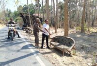 PINGGIR JALAN: Petugas kepolisian bersama Satpol PP menunjukkan lokasi penemuan bayi laki-laki di atas kursi rusak di pinggir jalan Dusun Drusah, Desa Prenduan, Kecamatan Pragaan, Kabupaten Sumenep (Dok. Seputar Jatim)