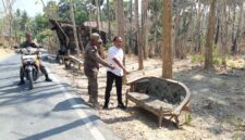 PINGGIR JALAN: Petugas kepolisian bersama Satpol PP menunjukkan lokasi penemuan bayi laki-laki di atas kursi rusak di pinggir jalan Dusun Drusah, Desa Prenduan, Kecamatan Pragaan, Kabupaten Sumenep (Dok. Seputar Jatim)