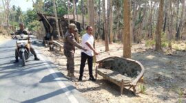 PINGGIR JALAN: Petugas kepolisian bersama Satpol PP menunjukkan lokasi penemuan bayi laki-laki di atas kursi rusak di pinggir jalan Dusun Drusah, Desa Prenduan, Kecamatan Pragaan, Kabupaten Sumenep (Dok. Seputar Jatim)