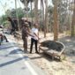 PINGGIR JALAN: Petugas kepolisian bersama Satpol PP menunjukkan lokasi penemuan bayi laki-laki di atas kursi rusak di pinggir jalan Dusun Drusah, Desa Prenduan, Kecamatan Pragaan, Kabupaten Sumenep (Dok. Seputar Jatim)